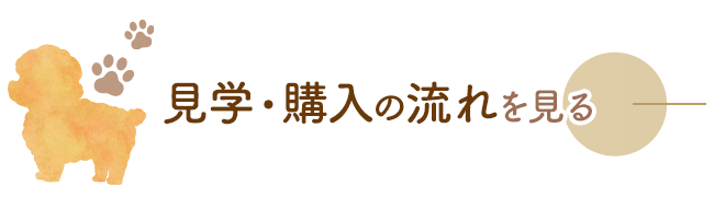 見学・購入の流れを見る
