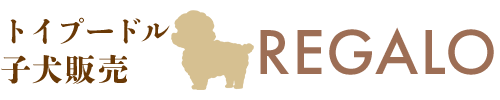 プードル子犬販売 REGALO(レガーロ) 
